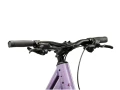 Kross EVADO C100