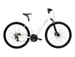Kross EVADO C100 Biały Grafitowy
