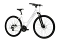 Kross EVADO C100 Biały Grafitowy