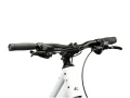 Kross EVADO C100 Biały Grafitowy
