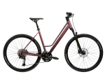 Kross EVADO C500 Brązowy Złoty Matowy