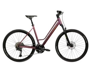 Kross EVADO C500 Brązowy Złoty Matowy